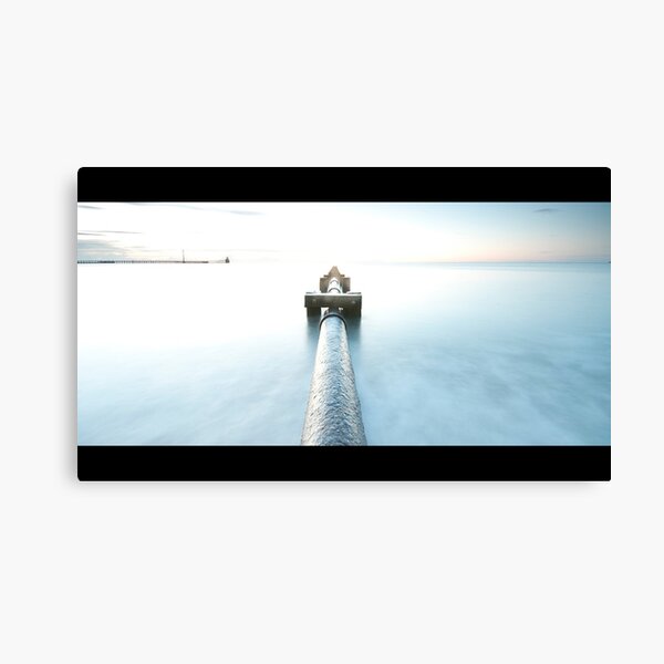 Unknown Canvas Print