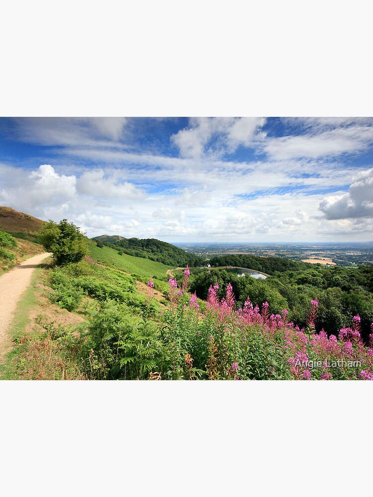Malvern Hills : Glorious Summer by AngelaBarnett