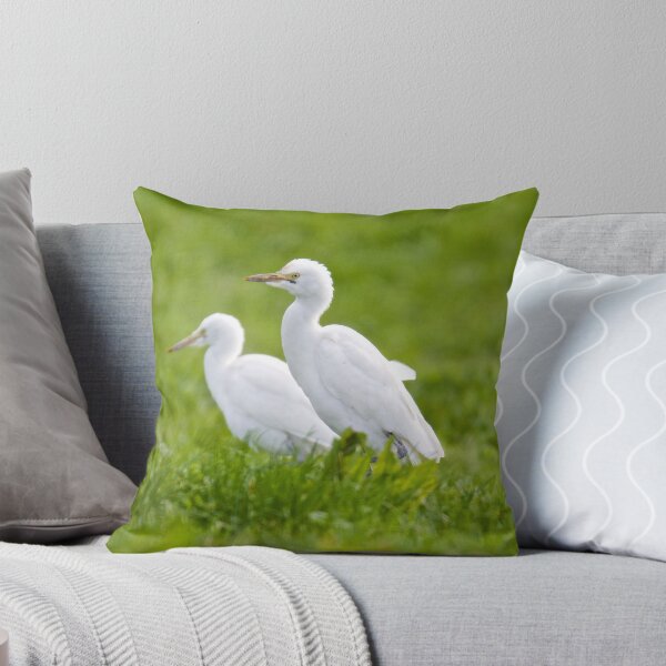 Artikelvorschau, WADER ~ Cattle Egret eEtZC2qM von David Irwin entworfen und verkauft von tasmanianartist.