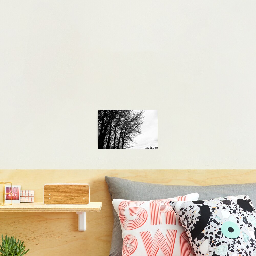 Item preview, Photographic Print designed and sold by Raphanus.