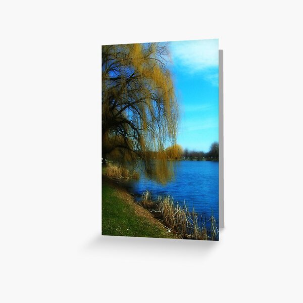 My Weeping Willow Tree © Greeting Card