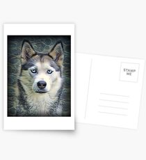 Husky Mit Eisblauen Augen Postkarten