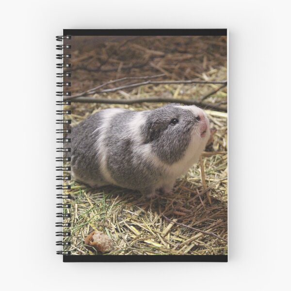 Item preview, Guinea Pig Pet Sticker designed and sold by deanworld.