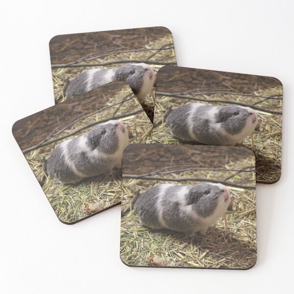 Item preview, Guinea Pig Pet Sticker designed and sold by deanworld.
