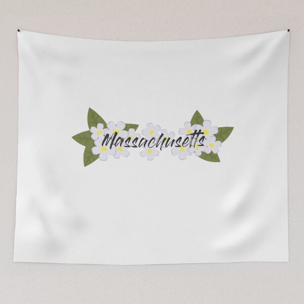 Item preview, State of Massachusetts designed and sold by oleo79.