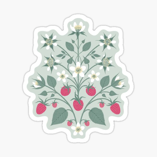 Raspberry Sticker