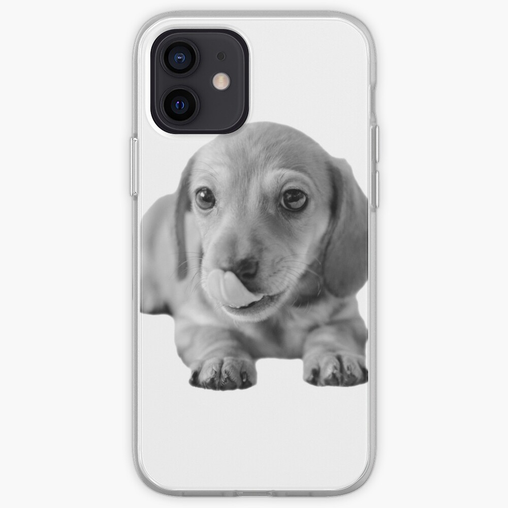 Little Cute Dachshund Puppy iPhone Case & Cover