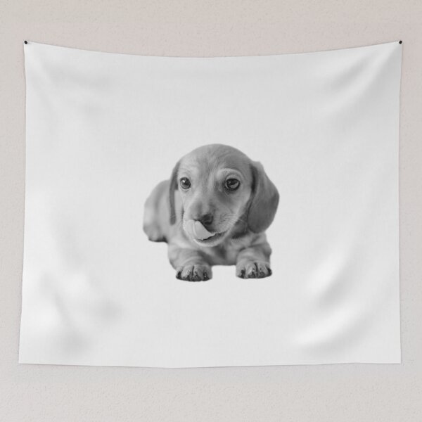 Item preview, Little Cute Dachshund Puppy designed and sold by tribbledesign.