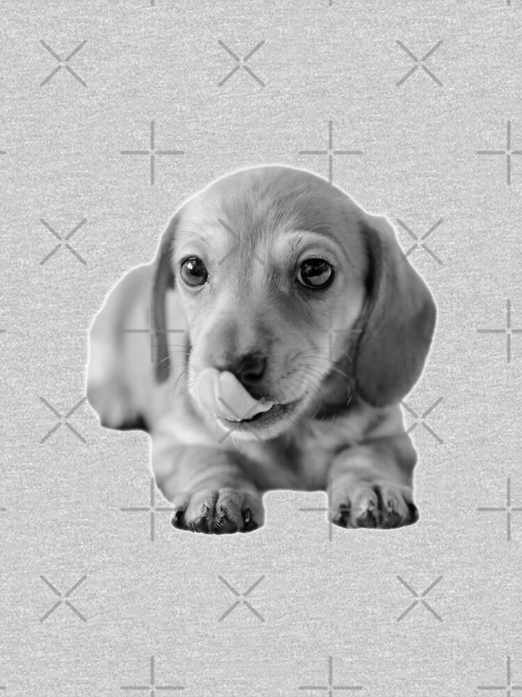 Little Cute Dachshund Puppy by tribbledesign