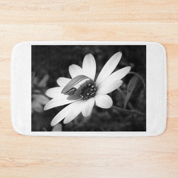Item preview, Snail On Hardy Osteospermum - Monochrome designed and sold by Dorset Girl.