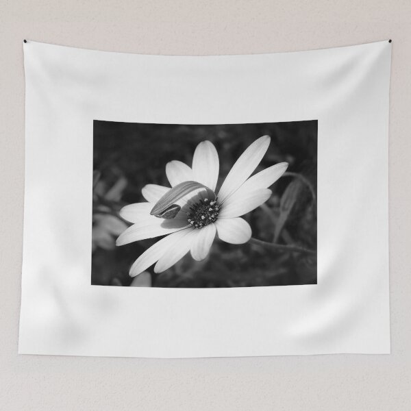 Item preview, Snail On Hardy Osteospermum - Monochrome designed and sold by Dorset Girl.