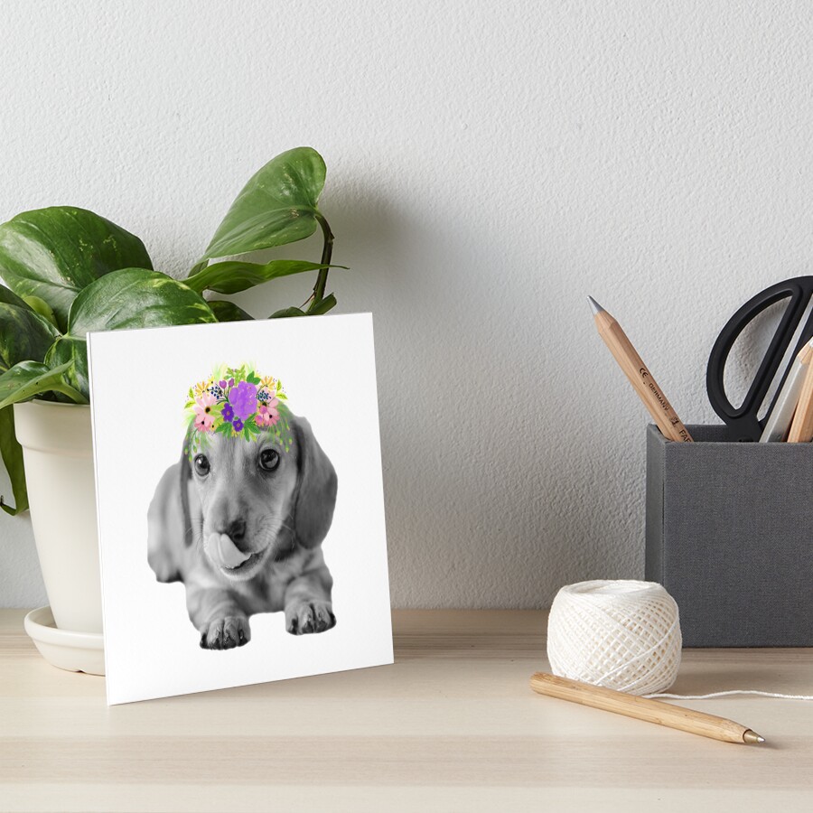 Cute Floral Dachshund Puppy Art Board Print