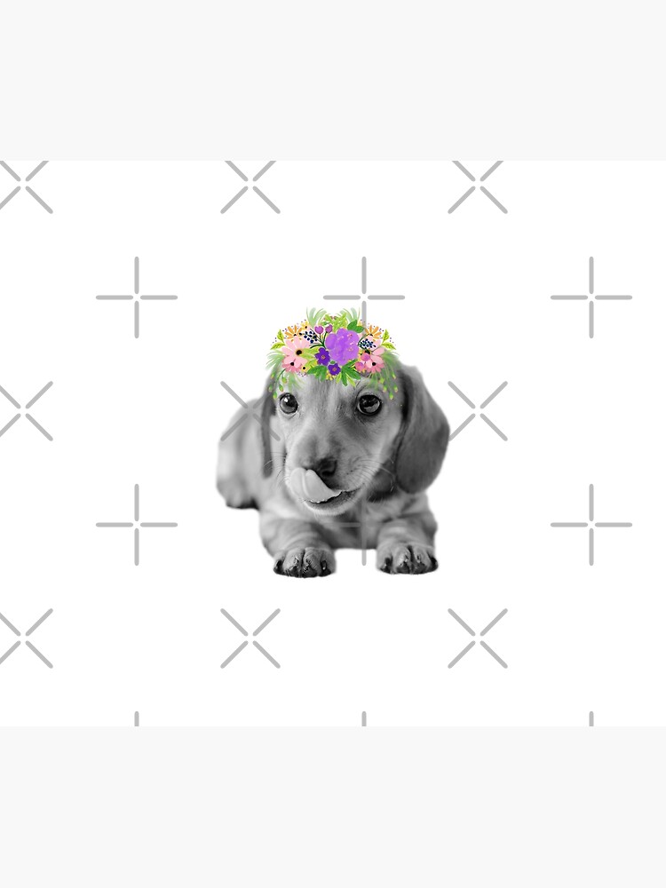 Cute Floral Dachshund Puppy by tribbledesign