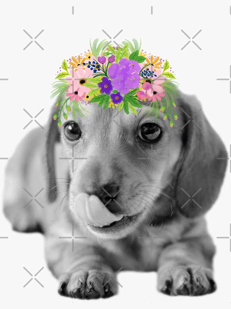 Cute Floral Dachshund Puppy by tribbledesign