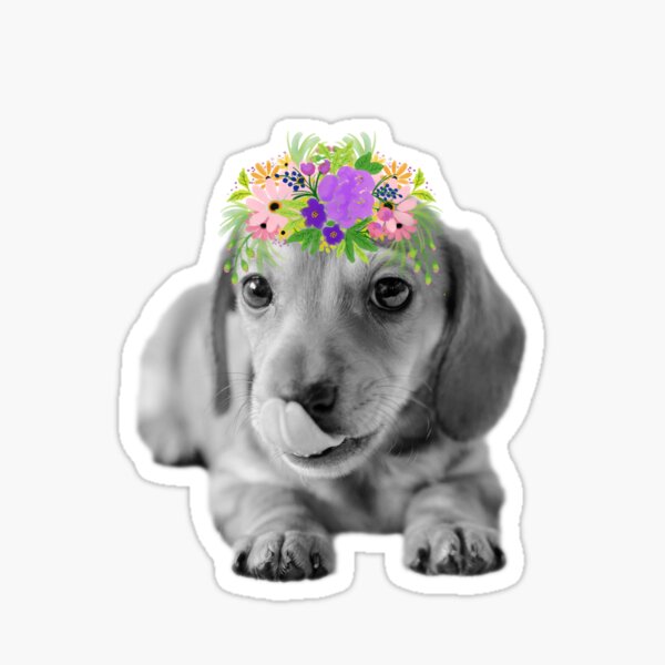 Cute Floral Dachshund Puppy Sticker