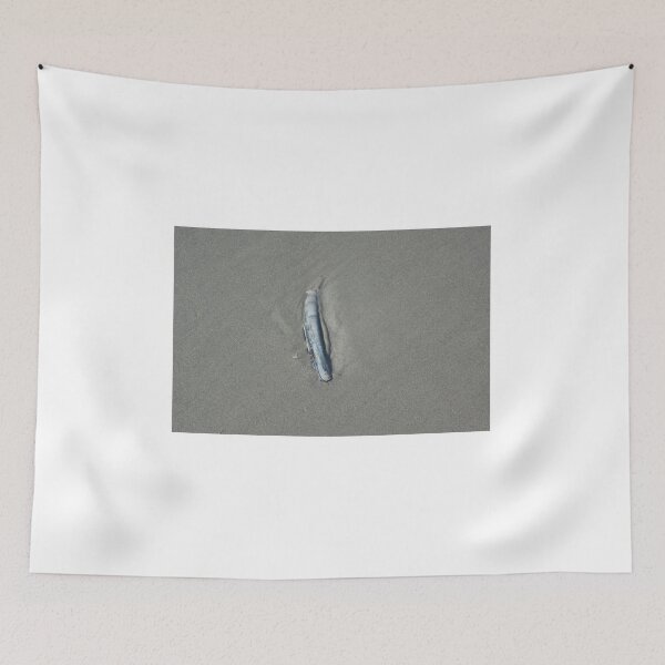 Item preview, Clam shell on the beach designed and sold by Hilbert72.