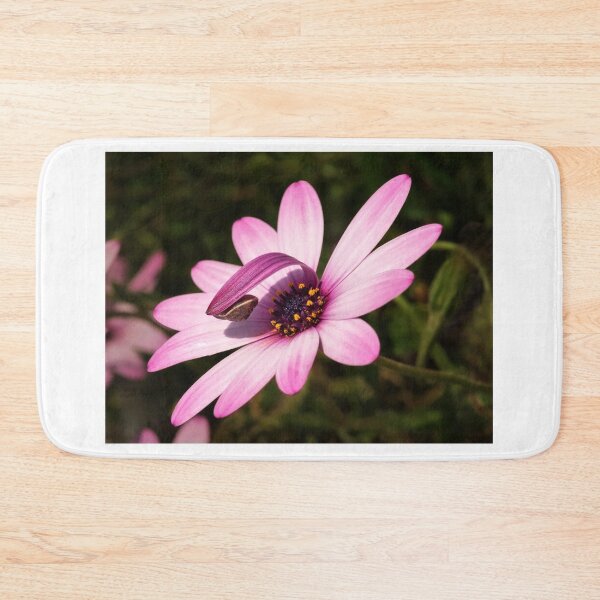 Item preview, Snail On Hardy Osteospermum designed and sold by Dorset Girl.