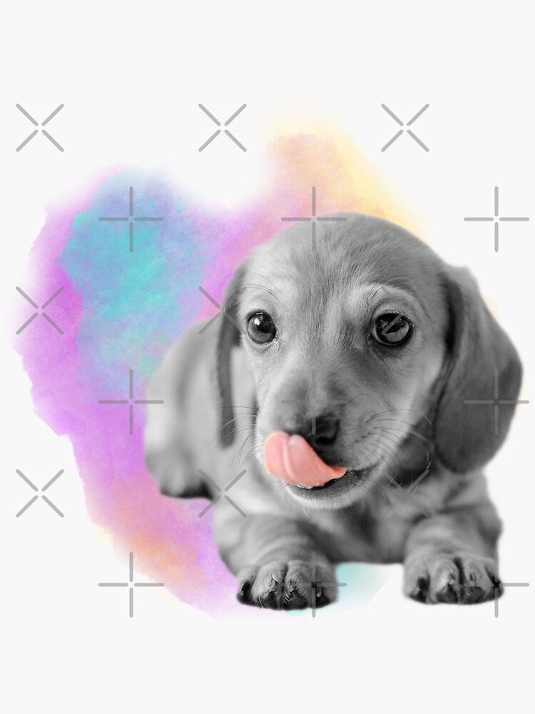 Cute Dachshund Puppy Watercolor by tribbledesign