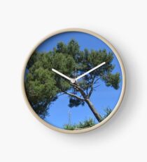 Zypresse wächst schief auf Felsen Uhr