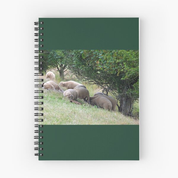 Item preview, Sleep Sheep at Abbotsbury,Dorset UK designed and sold by lynn carter.