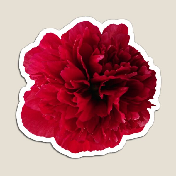 Item preview, Red Peony designed and sold by Howlites.