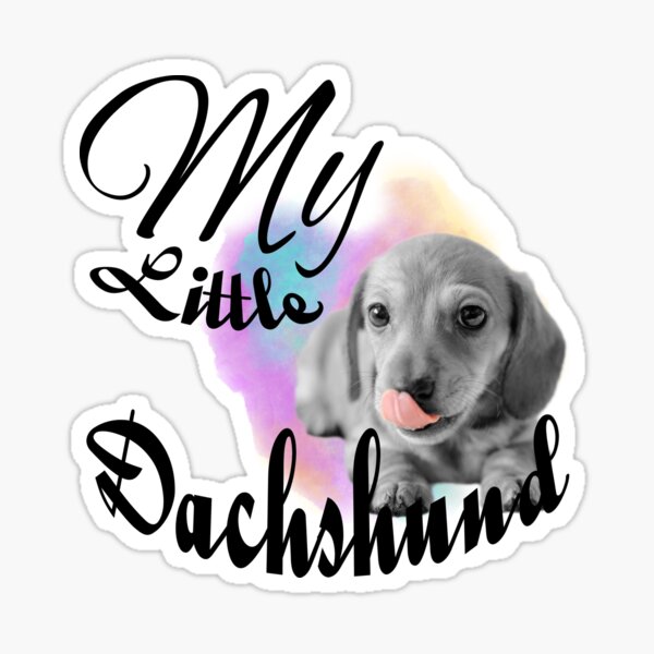 My Little Dachshund Sticker