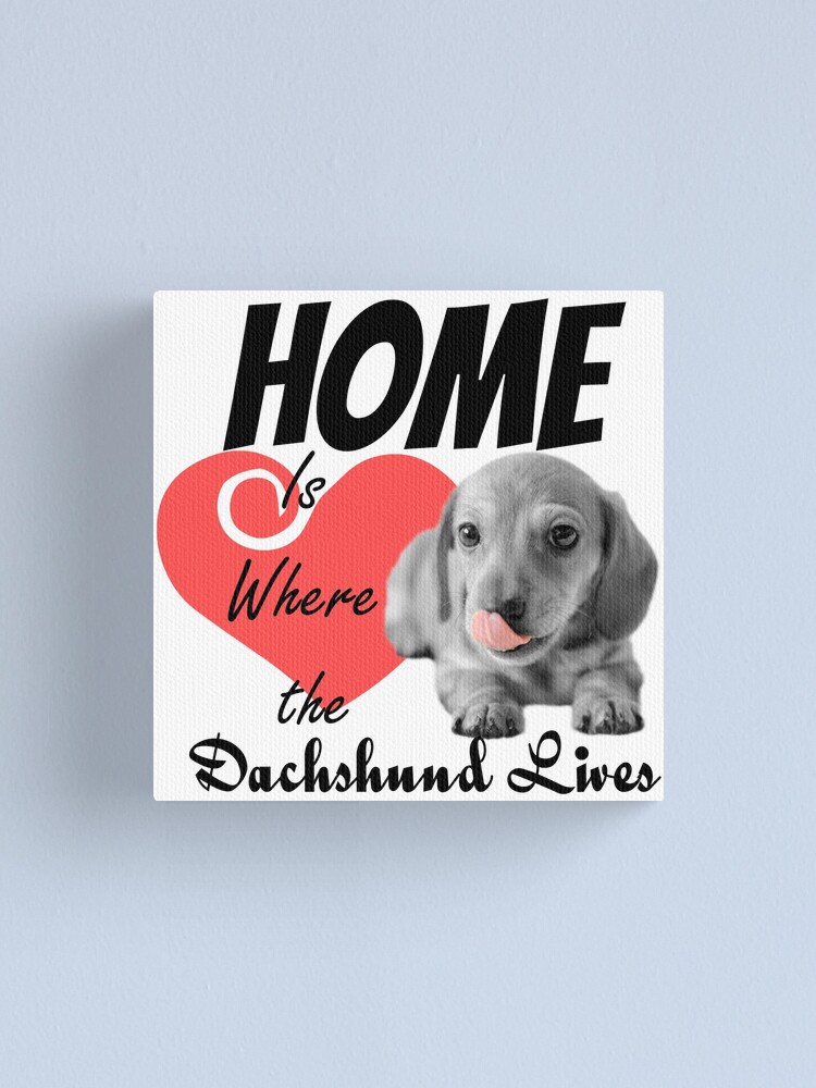 Alternate view of Home is Where the Dachshund Lives Canvas Print
