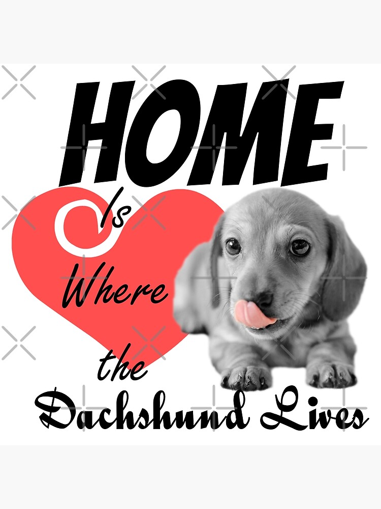 Home is Where the Dachshund Lives by tribbledesign