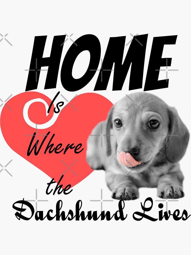 Home is Where the Dachshund Lives by tribbledesign