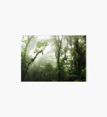 Cloud Forest Art Board Print
