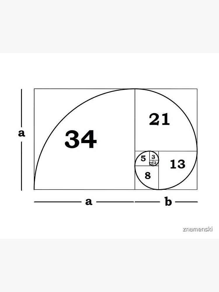 #Golden #Ratio #GoldenRatio #Design Ideas Fibonacci Spiral = 1.6180339887498948420 by znamenski
