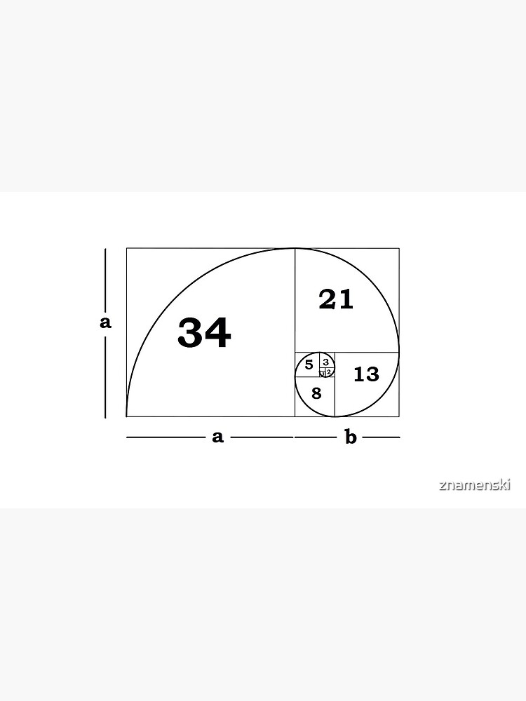 #Golden #Ratio #GoldenRatio #Design Ideas Fibonacci Spiral = 1.6180339887498948420 by znamenski