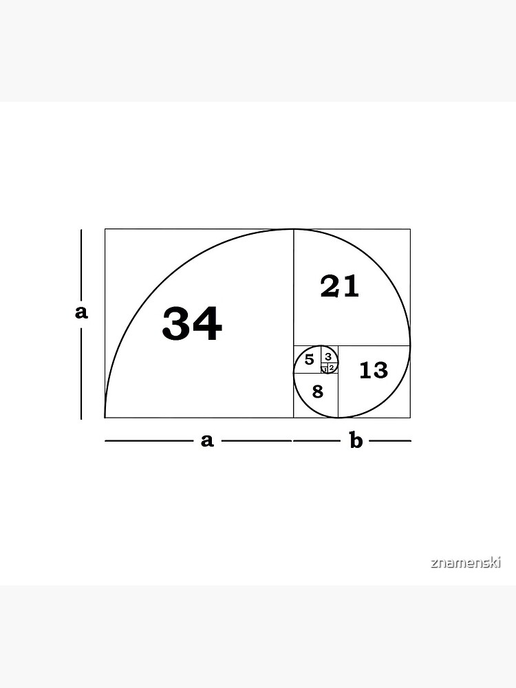 #Golden #Ratio #GoldenRatio #Design Ideas Fibonacci Spiral = 1.6180339887498948420 by znamenski