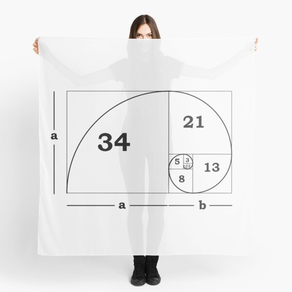 #Golden #Ratio #GoldenRatio #Design Ideas Fibonacci Spiral = 1.6180339887498948420 Scarf