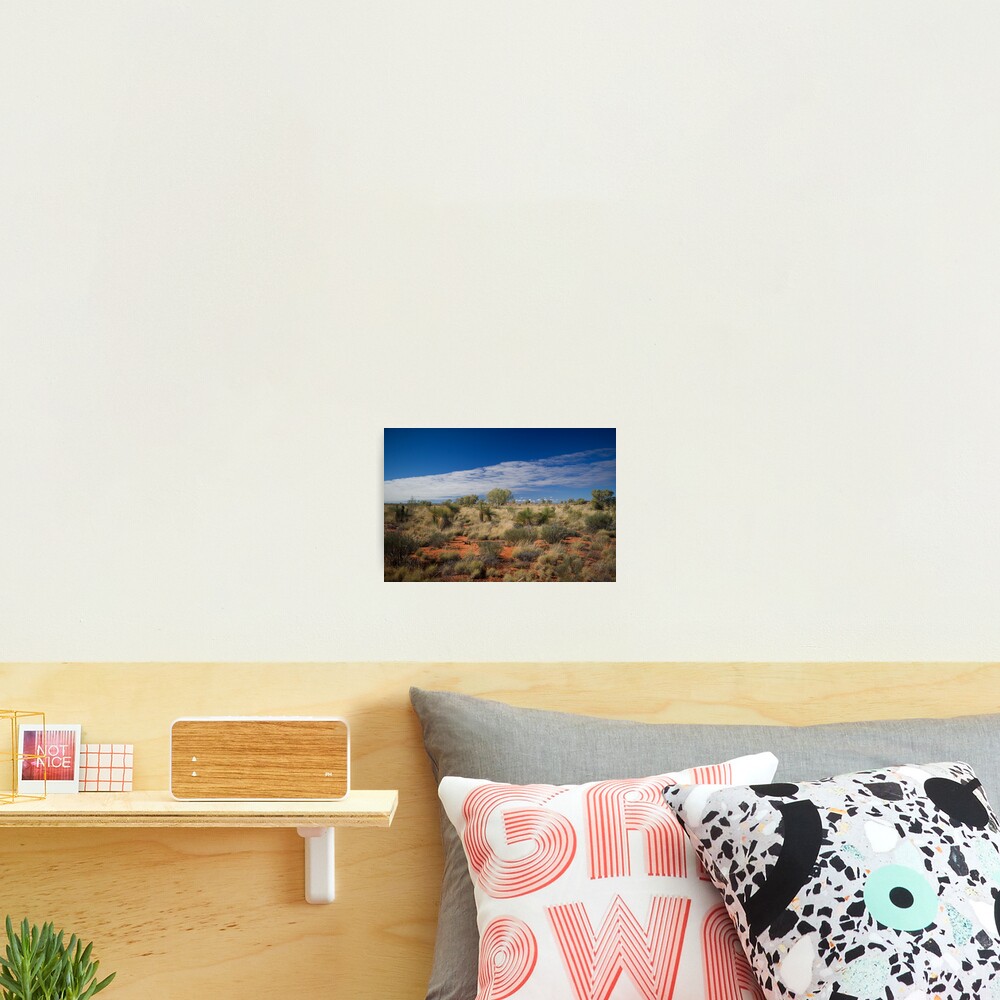 Canning Grass Trees Photographic Print