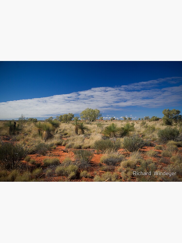 Canning Grass Trees by RICHARDW