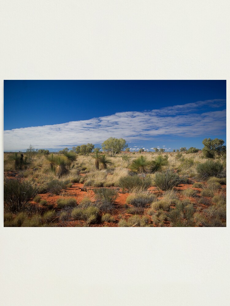 Alternate view of Canning Grass Trees Photographic Print