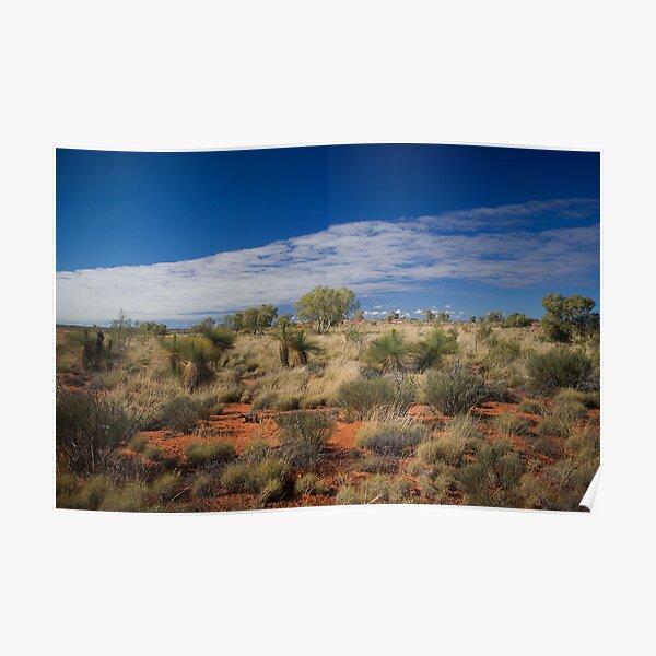 Canning Grass Trees Poster