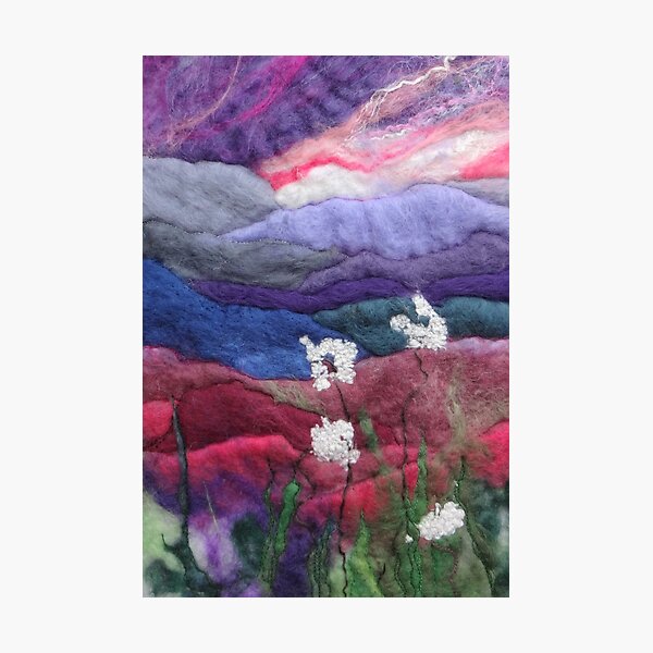 Evening Shades Photographic Print