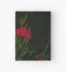 It's raining again Hardcover Journal