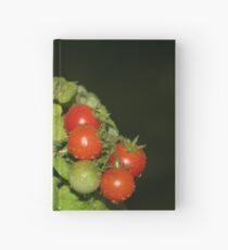 Tomatoes and Rain Hardcover Journal
