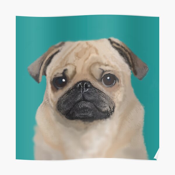 Doggy Face Posters Redbubble - pug face roblox