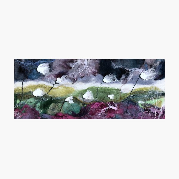 Yorkshire Cotton Grass Photographic Print