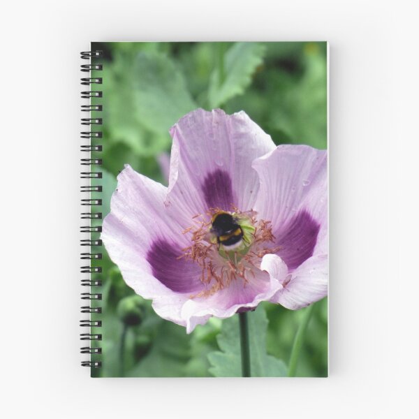 Item preview, The Poppy and the Bee designed and sold by Lynn Bolt.