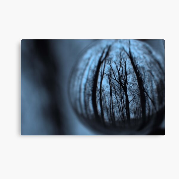 Tree Reflections Canvas Print