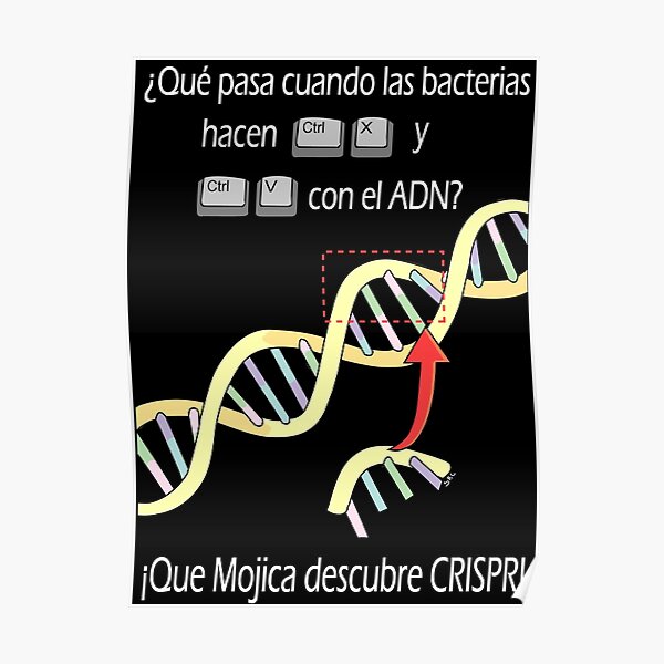 ¿Qué ocurre cuando las bacterias hacen Ctrl+X y Ctrl+V con el ADN? CRISPR Póster