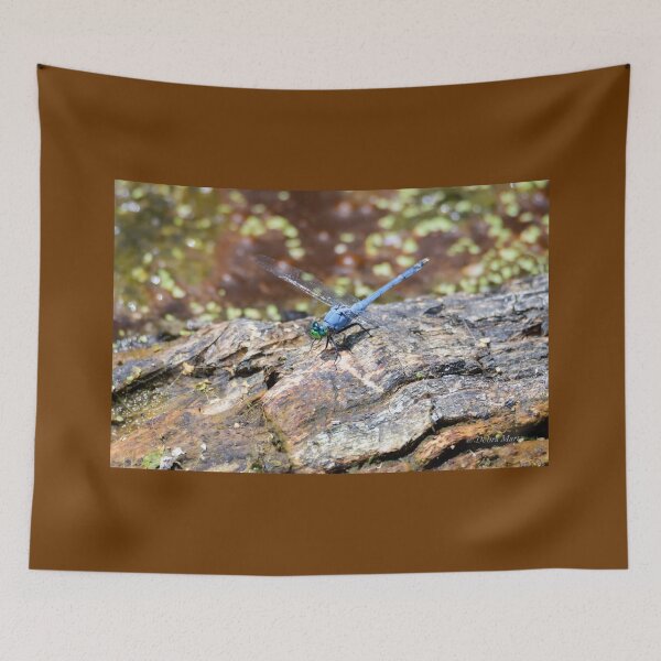 Item preview, Blue Pondhawk - Eastern Pondhawk - Common Pondhawk - Dragonfly designed and sold by Debra Martz.