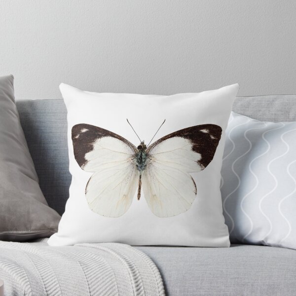 Item preview, White butterfly species Apias indra indra designed and sold by paulrommer.