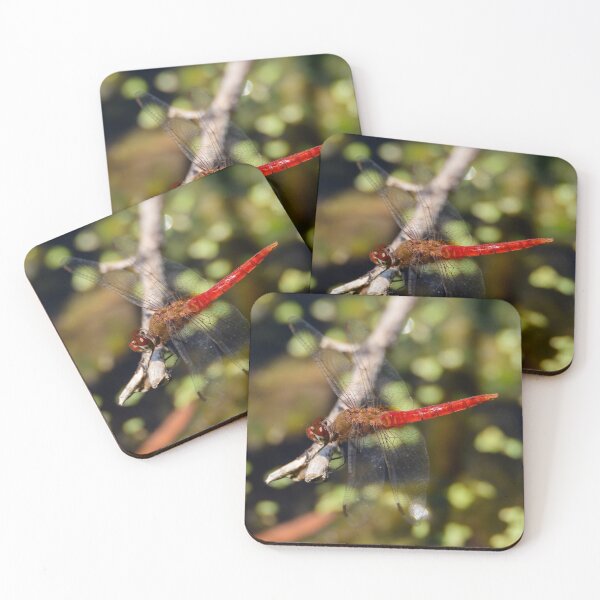 Item preview, Red-Tailed Pennant Dragonfly designed and sold by Debra Martz.