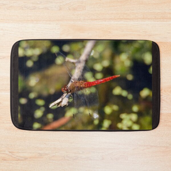 Item preview, Red-Tailed Pennant Dragonfly designed and sold by Debra Martz.